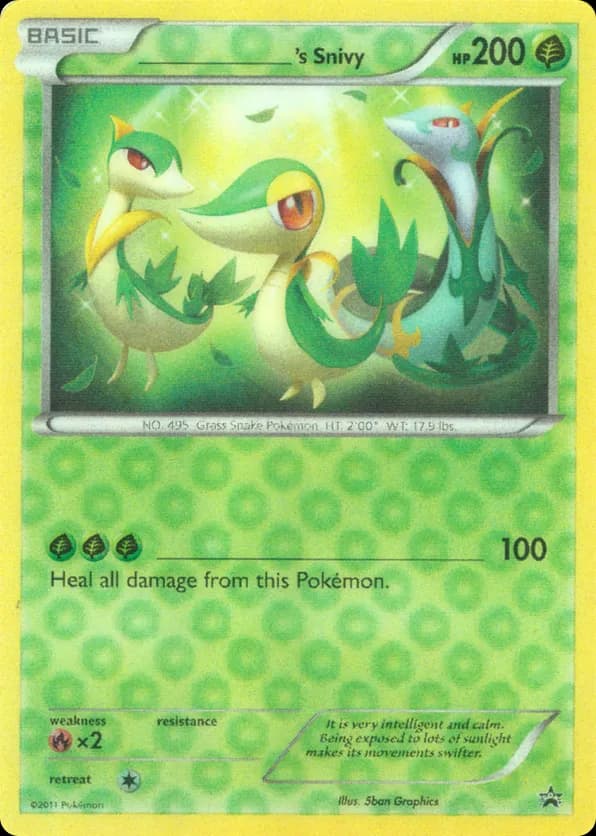 _____'s Snivy
