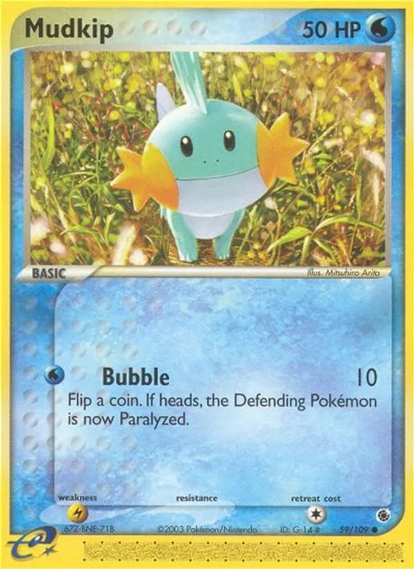 Mudkip