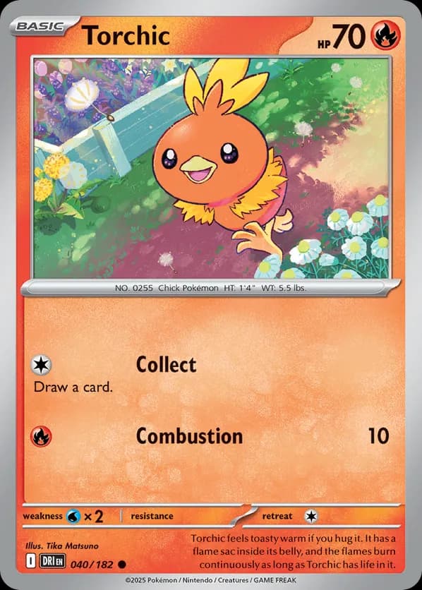 Torchic