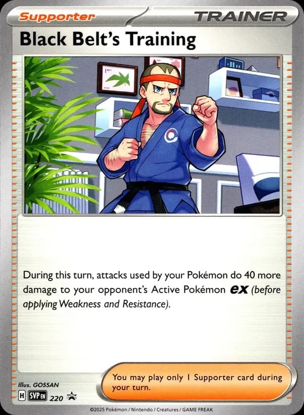 Black Belt's Training